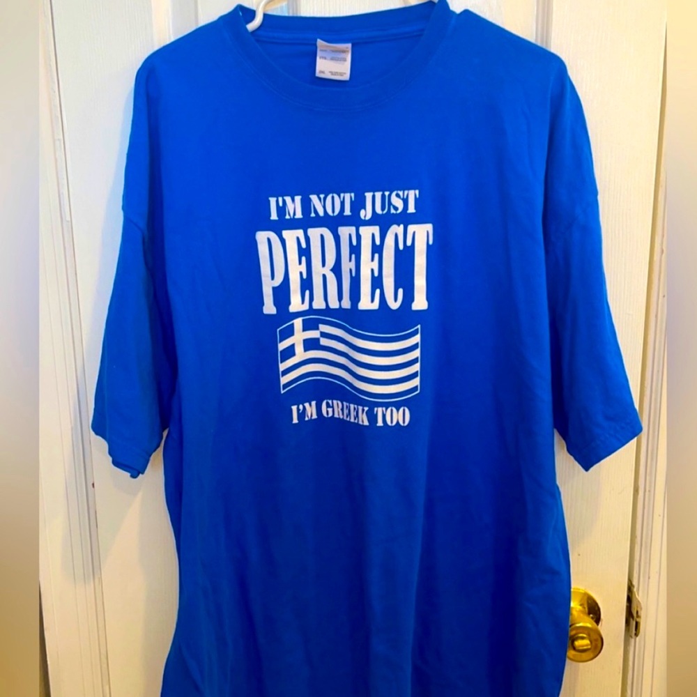 NWOT Greek graphic Gildan tshirt XXL